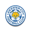 尊龙凯时体育-KAIYUN-SPORTS-LEICESTER-CITY